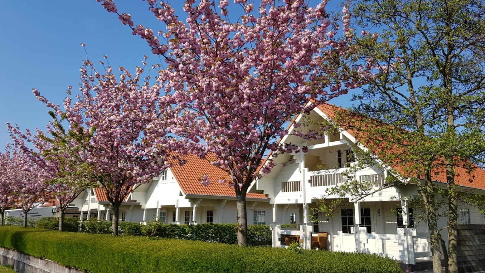 Holiday Park Dennenbos 东卡佩勒 外观 照片